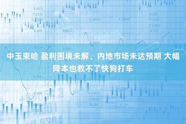 中玉束哈 盈利困境未解、内地市场未达预期 大幅降本也救不了快狗打车